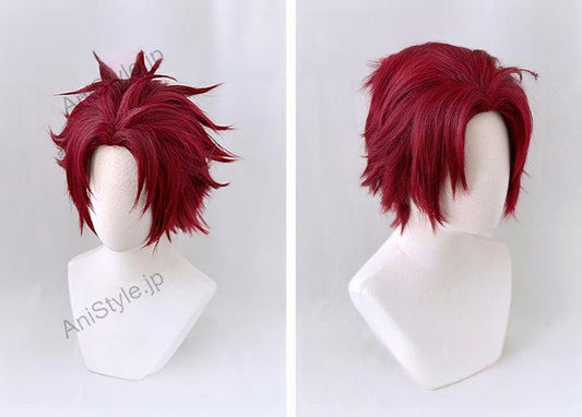 PL パラライ BAE 朱雀野 コスプレウィッグ