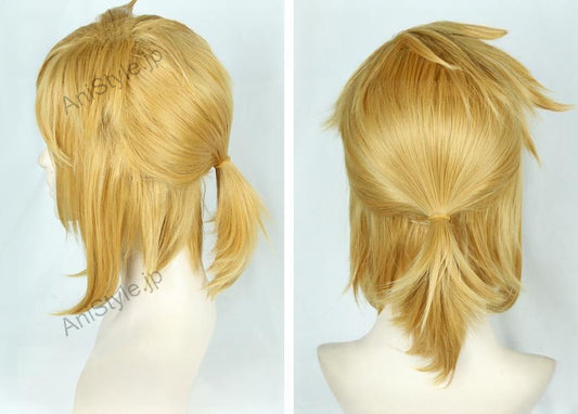 ゼルダの伝説 ブレスオブザワイルド LINK リンク コスプレウィッグ