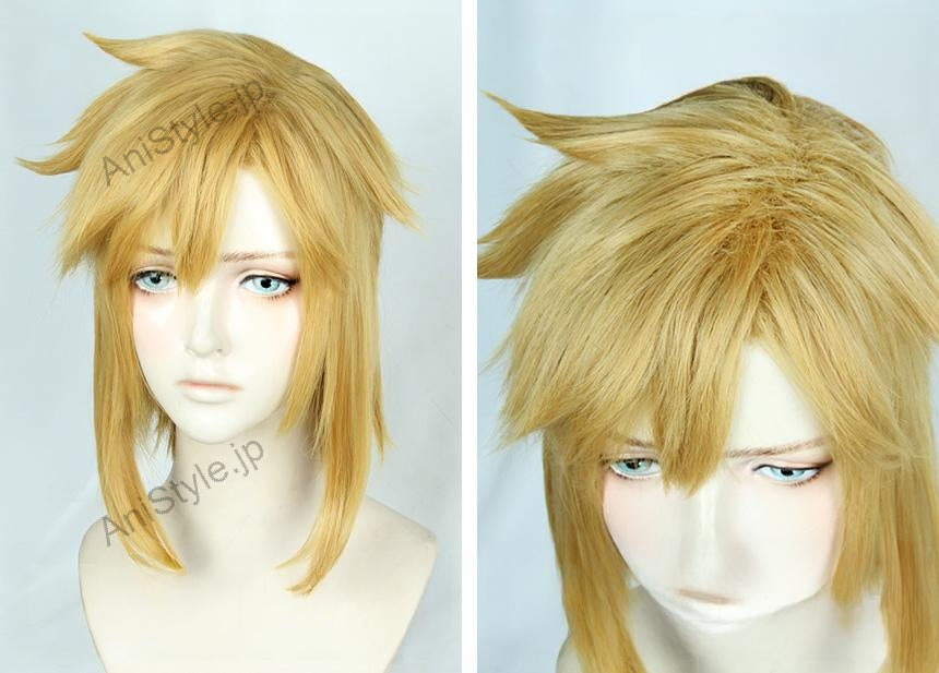 ゼルダの伝説 ブレスオブザワイルド LINK リンク コスプレウィッグ