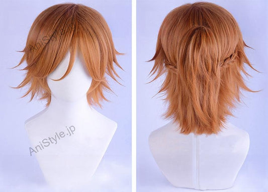 あんさんぶるスターズ！Double Face ダブルフェイス 三毛縞斑 コスプレウィッグ