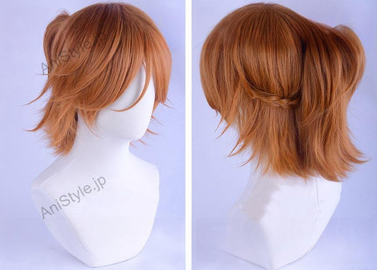 あんさんぶるスターズ！Double Face ダブルフェイス 三毛縞斑 コスプレウィッグ