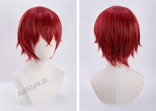 あんさんぶるスターズ! Knights 朱桜司 コスプレウィッグ