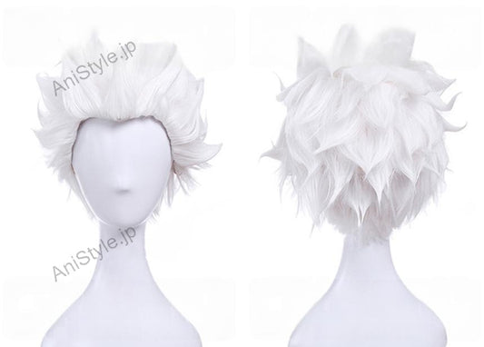 Fate Grand Order FGO Extra エミヤ アーチャー コスプレウィッグ