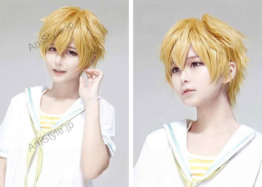 Free! フリー　岩鳶高校　葉月渚　コスプレウィッグ