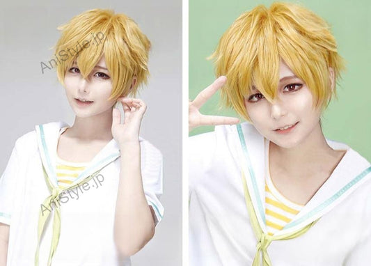 Free! フリー　岩鳶高校　葉月渚　コスプレウィッグ